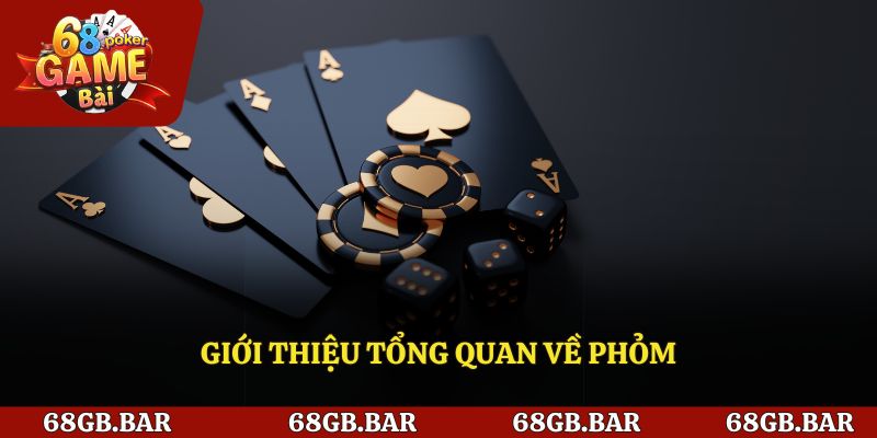 Giới thiệu tổng quan về phỏm
